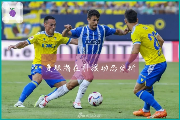 曼联潜在引援动态分析