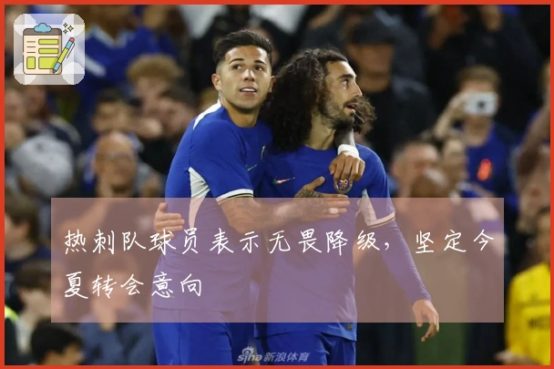 热刺队球员表示无畏降级，坚定今夏转会意向